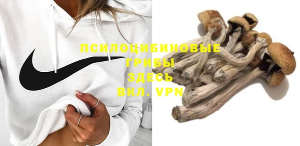 ешки Аркадак