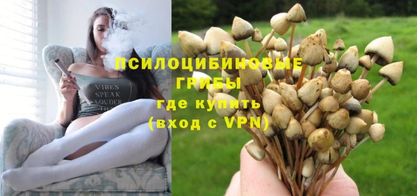 первитин Арсеньев