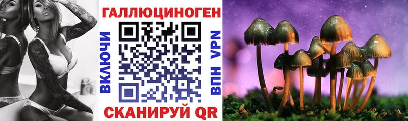 Купить закладки  Динская  Псилоцибиновые грибы Psilocybine cubensis 